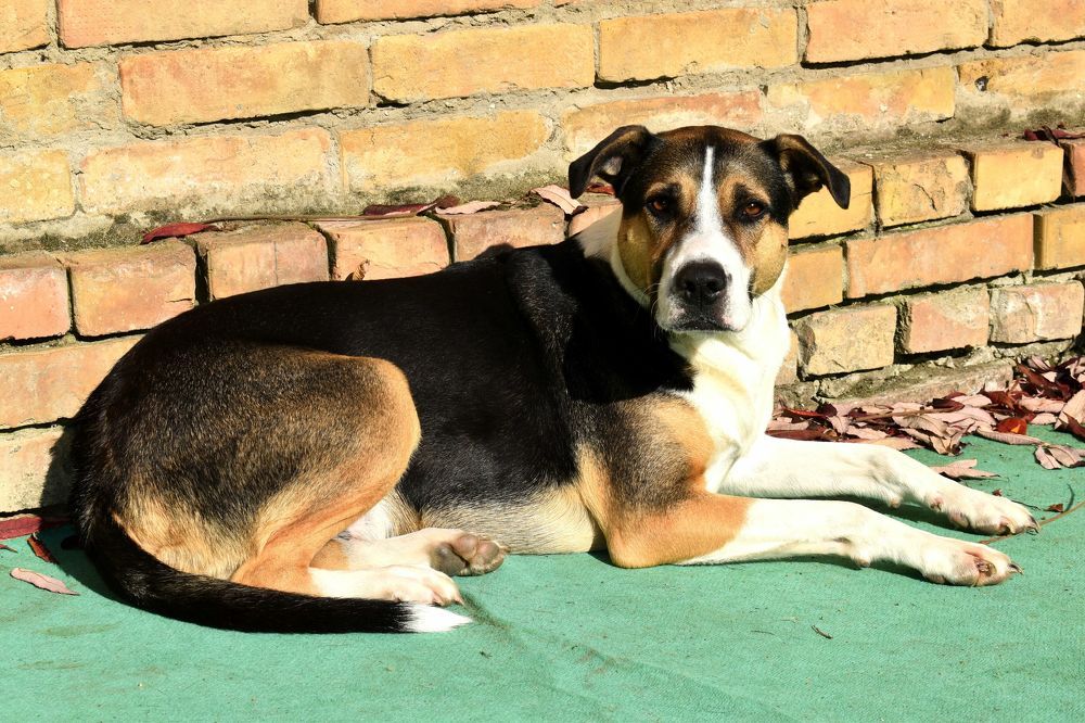 Photograph by RADOVAN TEODOROVIĆ