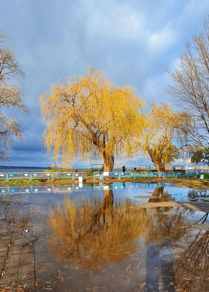 Фотография автора Igor Dyomin