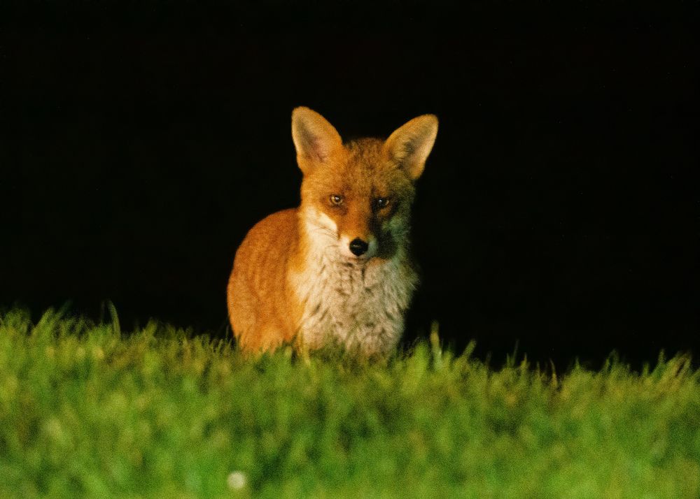 Photograph by Madhurya Mozumder