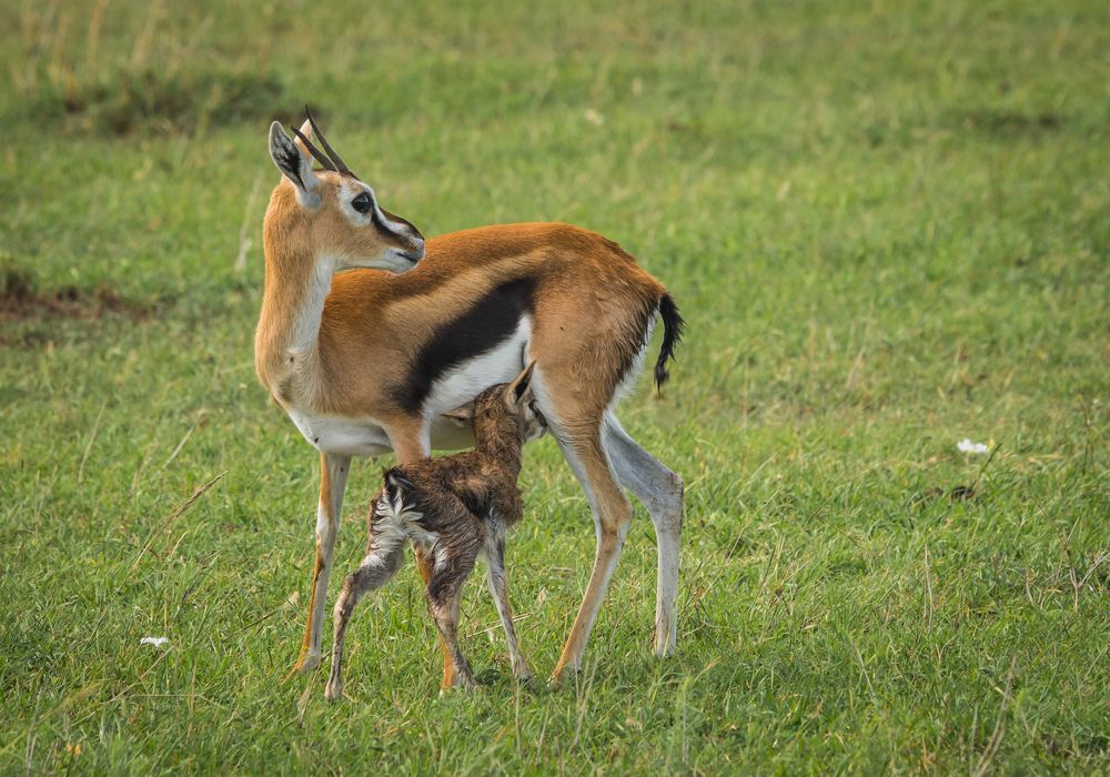 Photograph by Дария Максимова