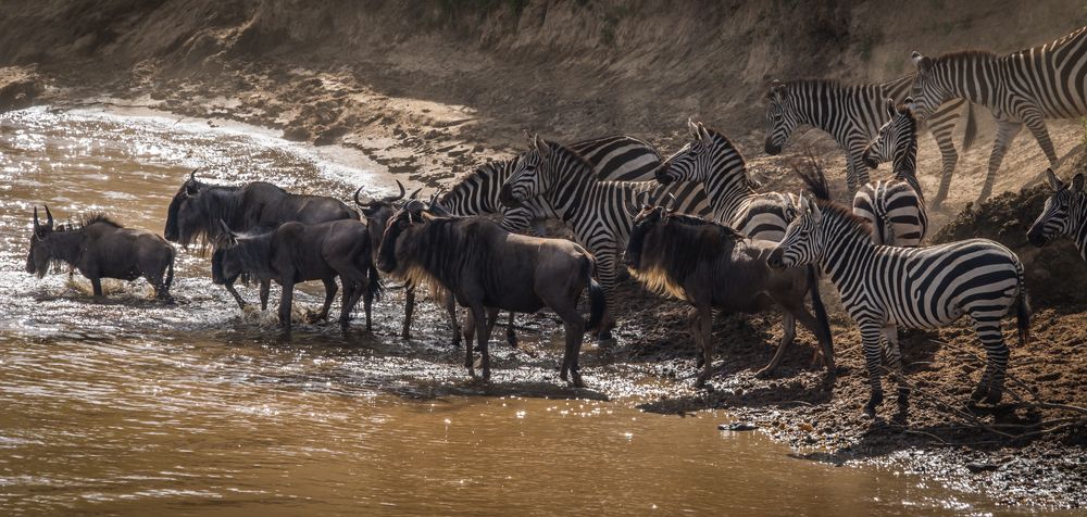 Photograph by Дария Максимова
