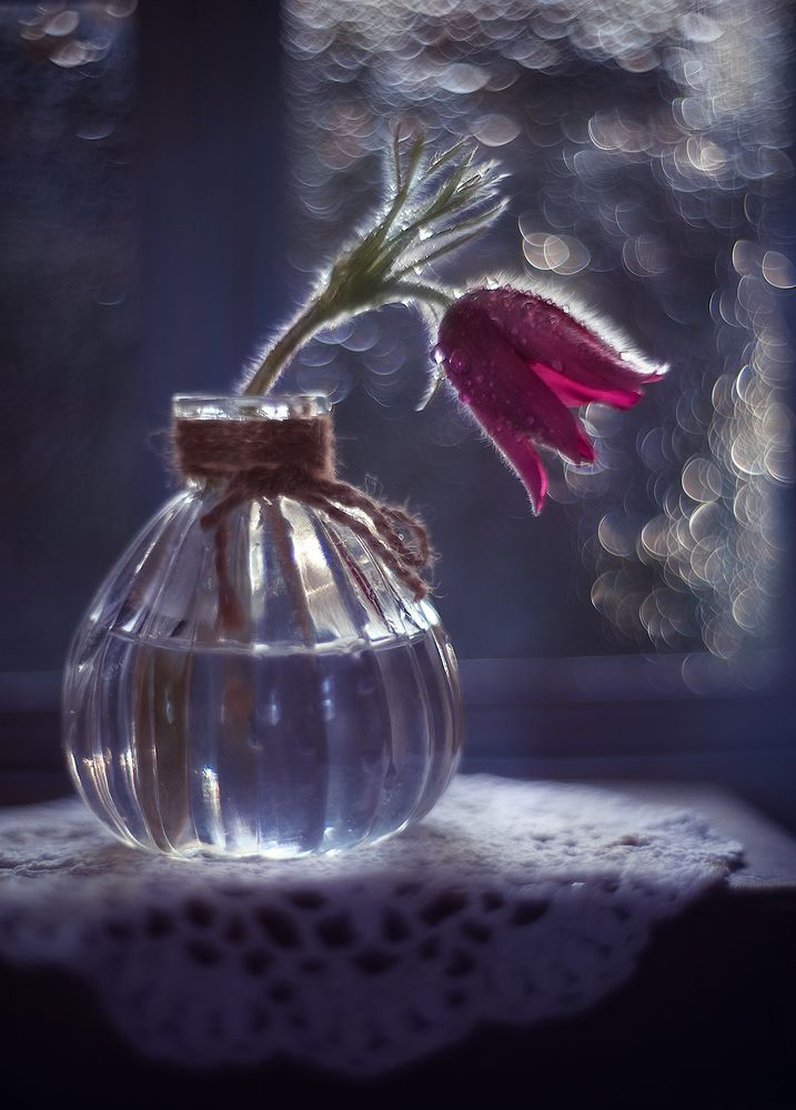 Грезы о весне