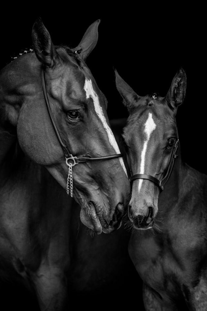 Фотография автора Camilla Cintra