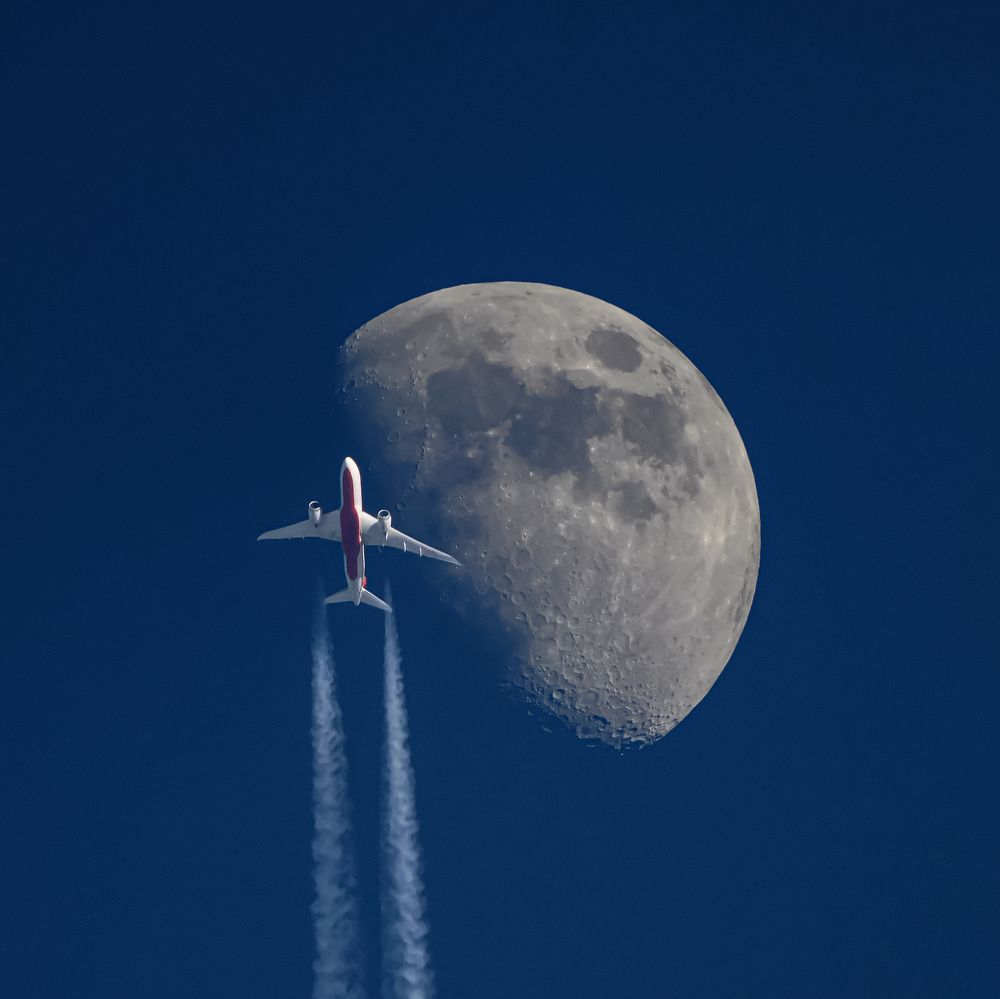 Photograph by alex_kpd_