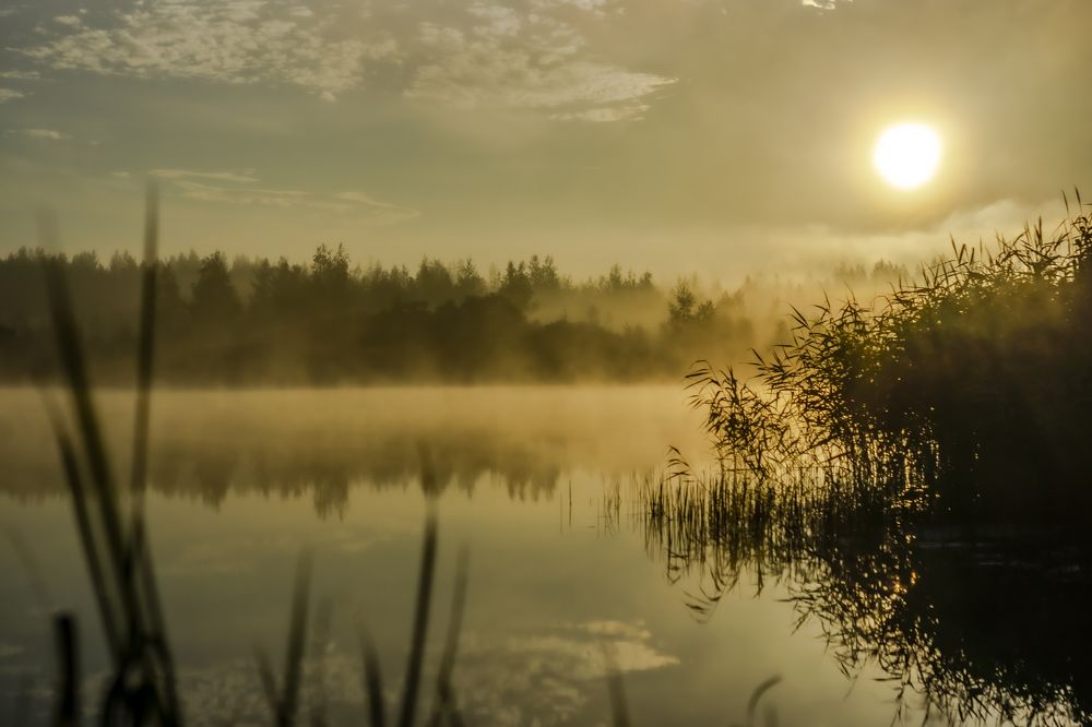 Рассвет у озера