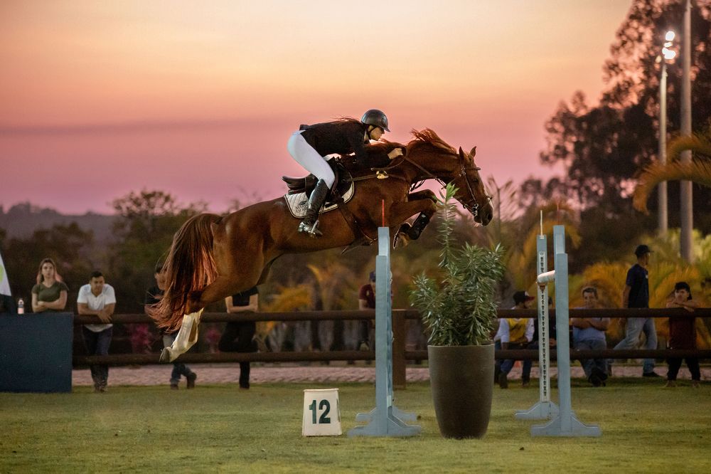 Photograph by Camilla Cintra