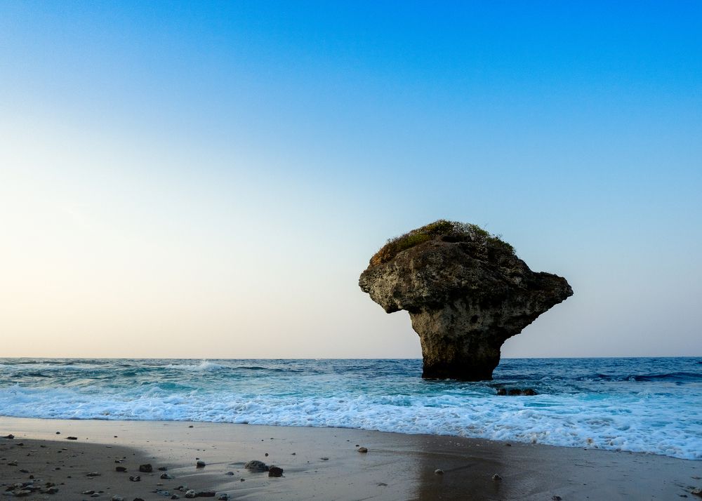 Фотография автора Gustavo Orellana