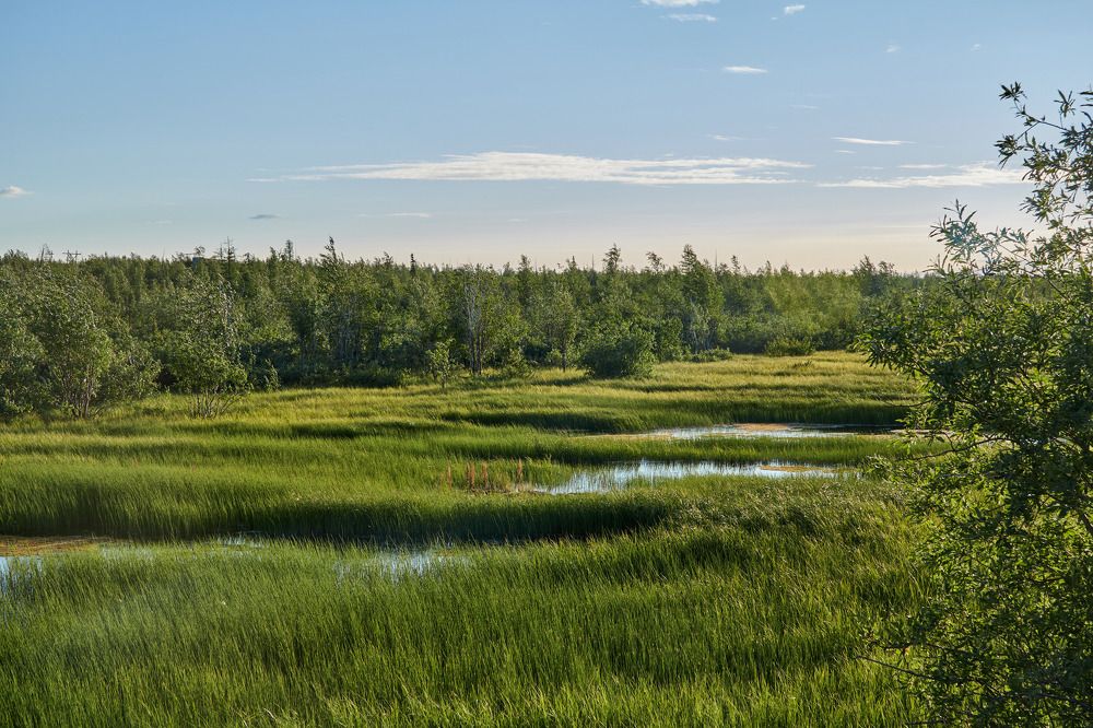Photograph by Алексей Швецов