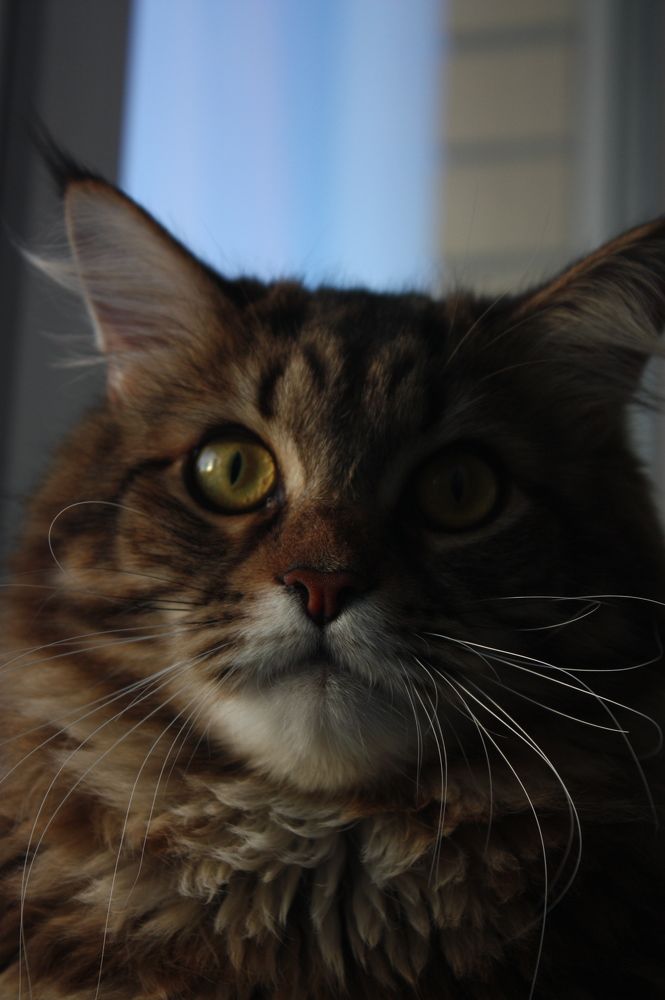 Фотография автора Мостовщикова Мария