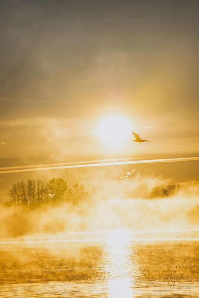 Photograph by Laura Marish