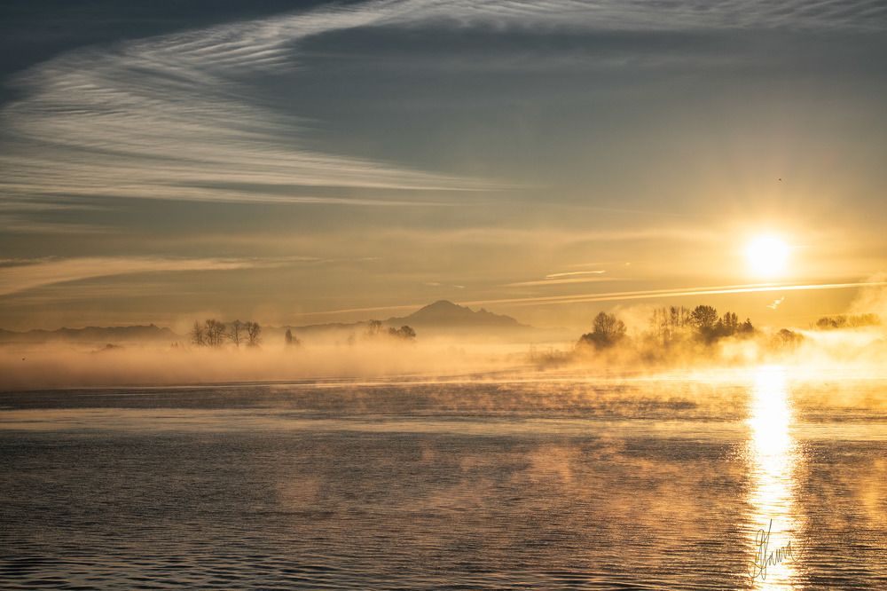 The River Port Way - The Holden Morning