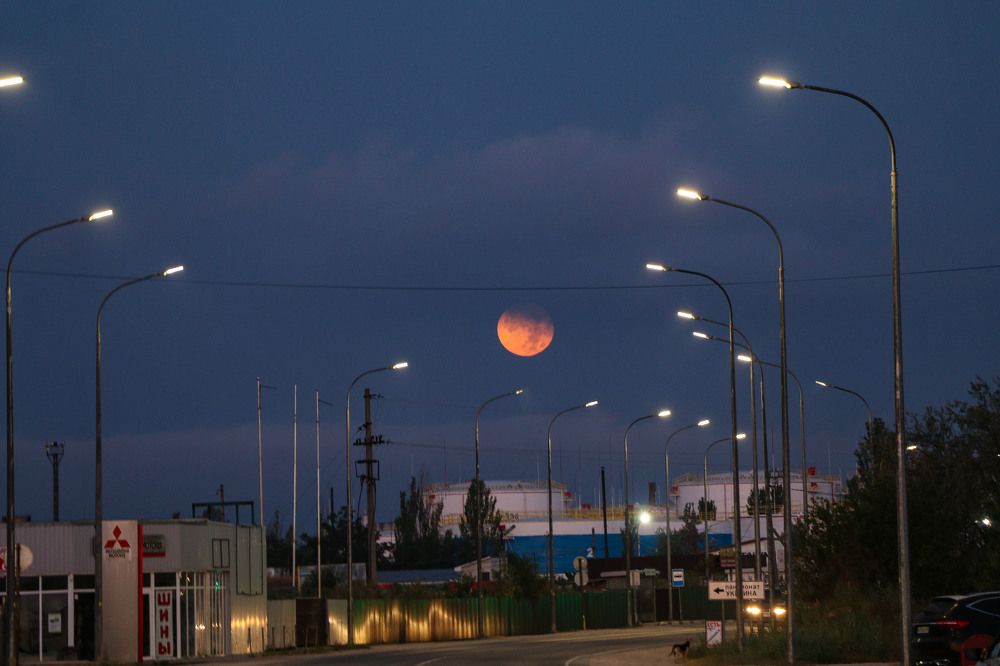 Photograph by Полина Крылова