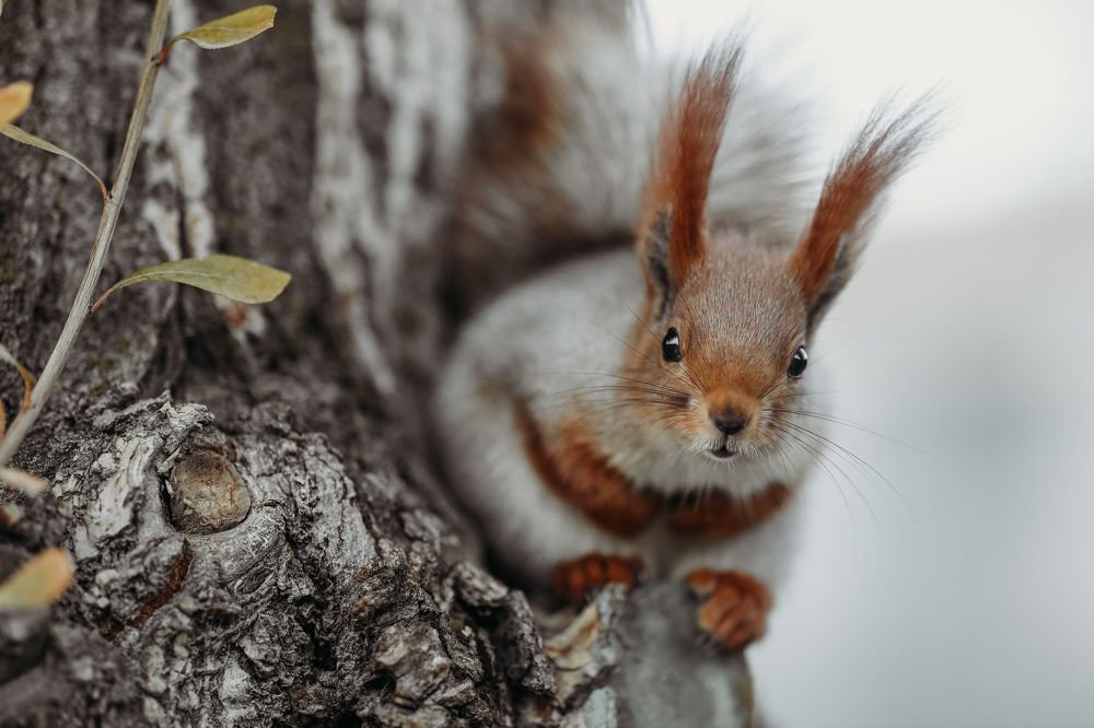 Photograph by Инесса Юровских