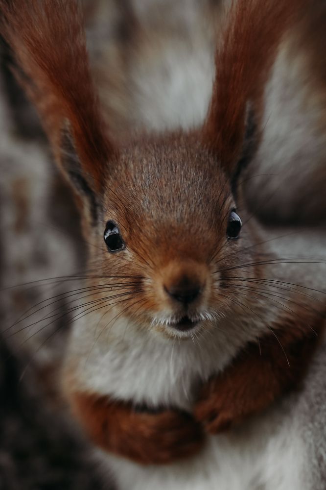 Photograph by Инесса Юровских