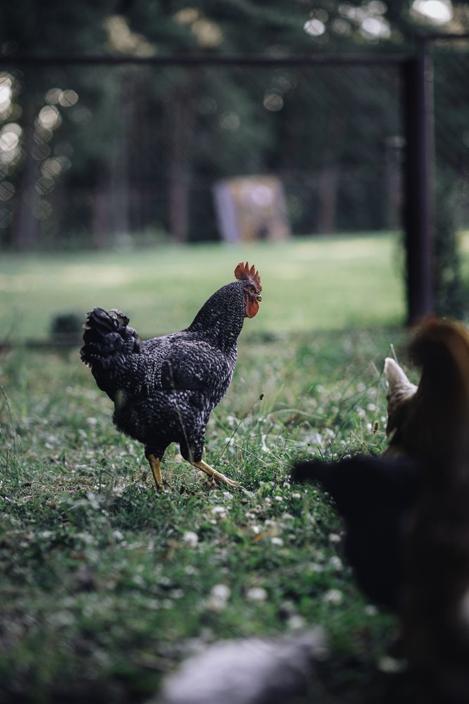 Photograph by Светлана