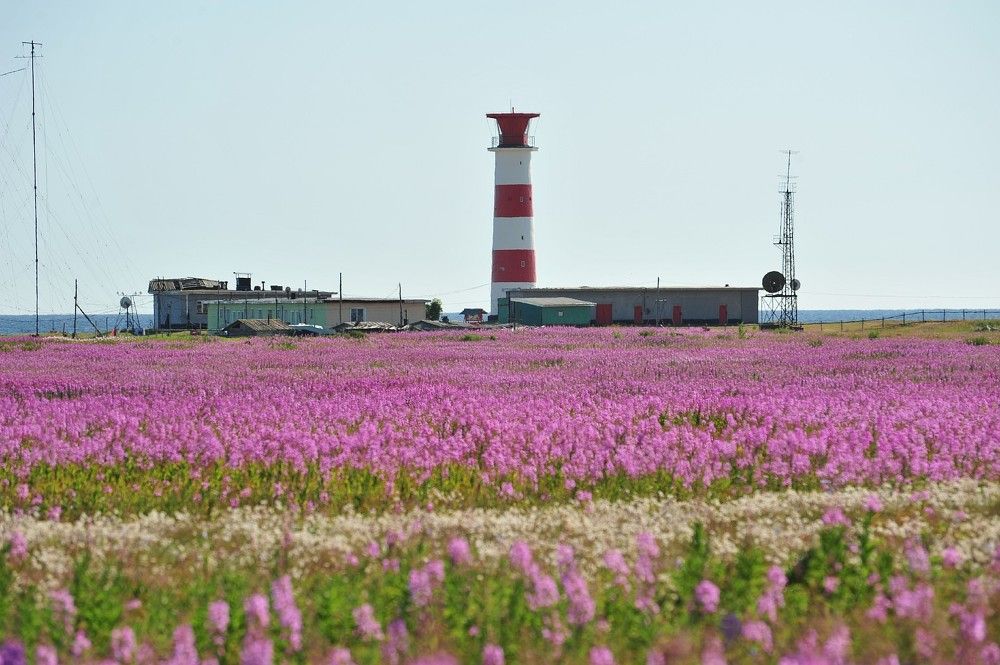 Photograph by Юрий Яковлев