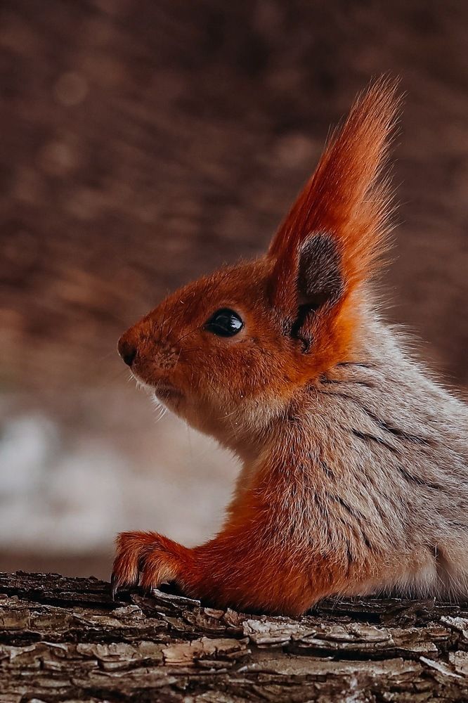 Photograph by Инесса Юровских