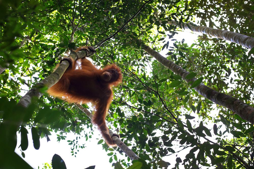 Photograph by Brendan Chuan Lung Goh