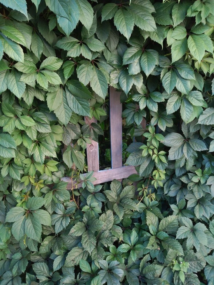 Photograph by СТЕПАН ДЖУЛАКИДЗЕ