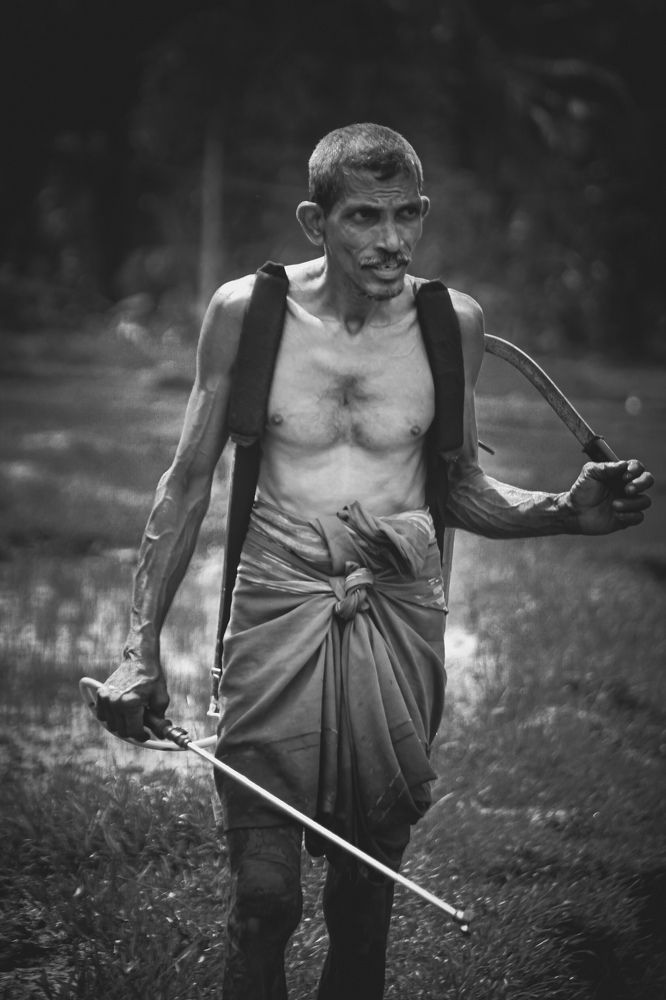 Photograph by sanjuna senarath