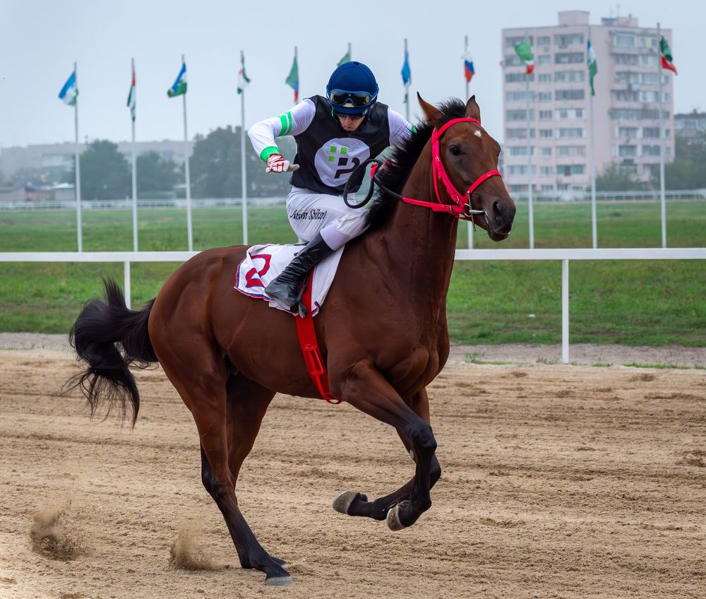 Фотография автора Дмитрий Referee