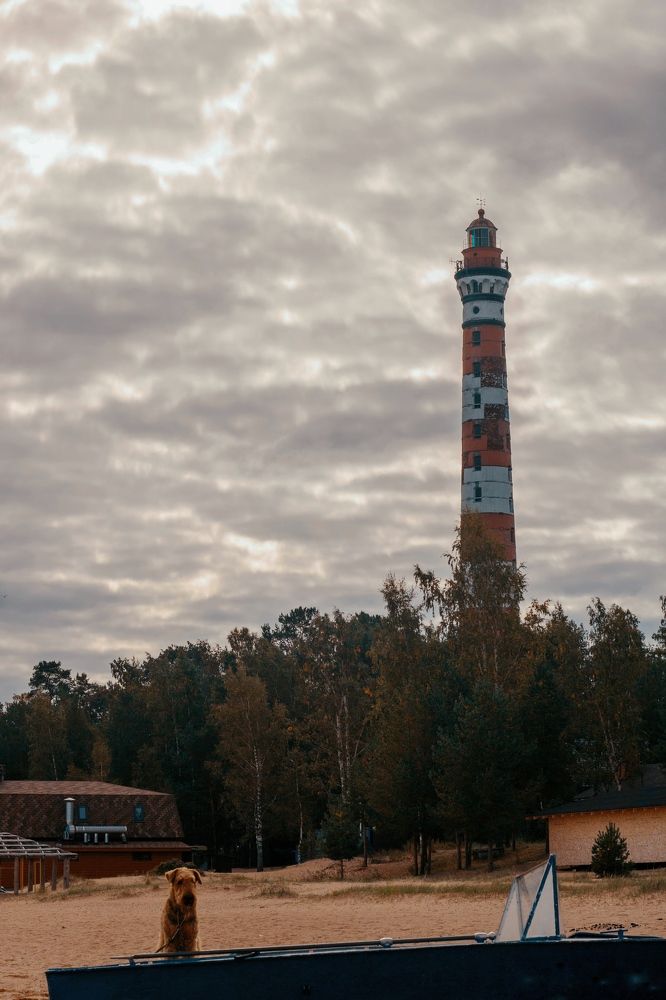 Photograph by Татьяна