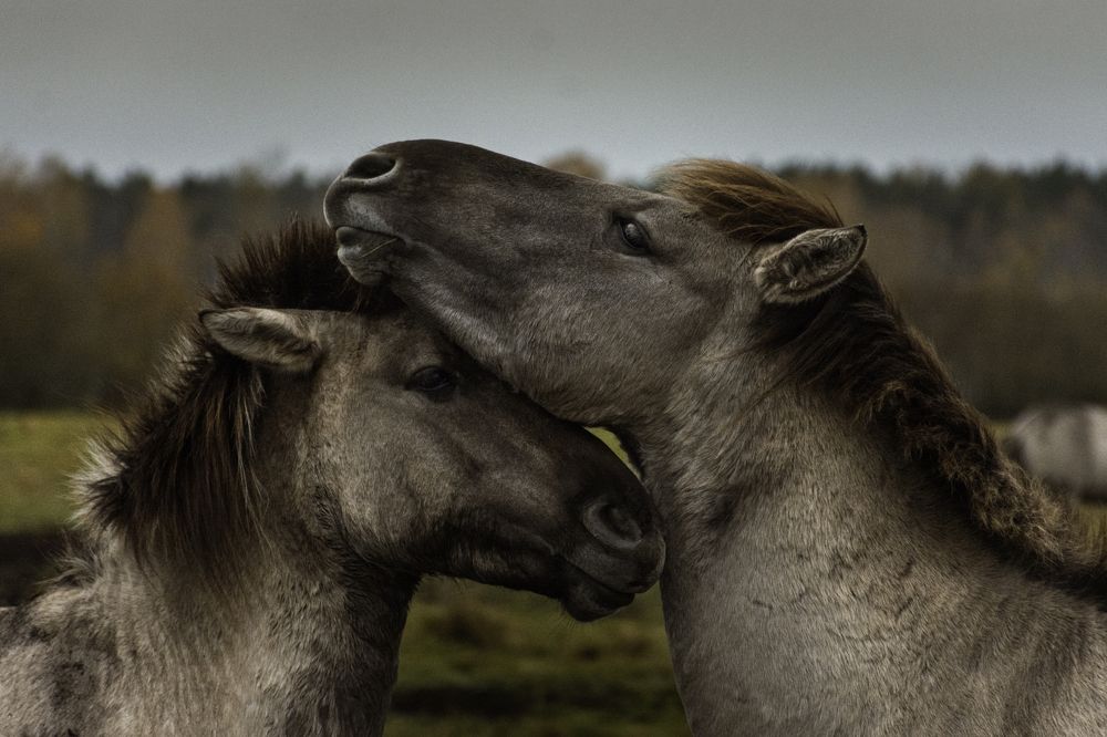Photograph by Dzianis Baranchyk