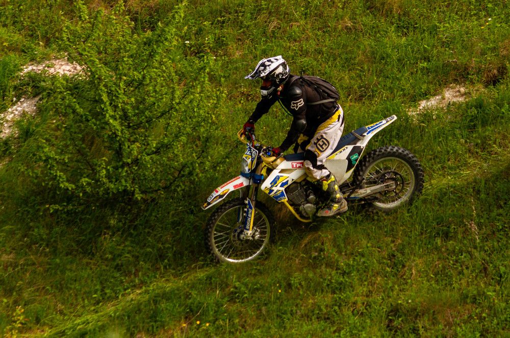 Фотография автора Алексей Тимофеев