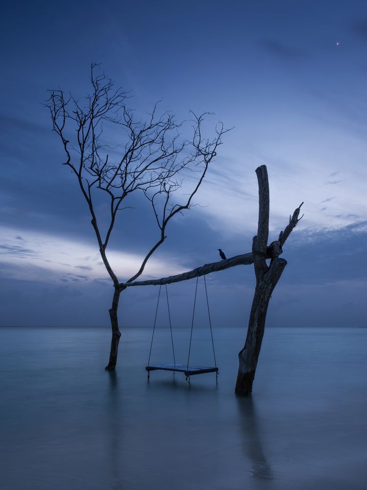 Photograph by Mikhail Kozlov