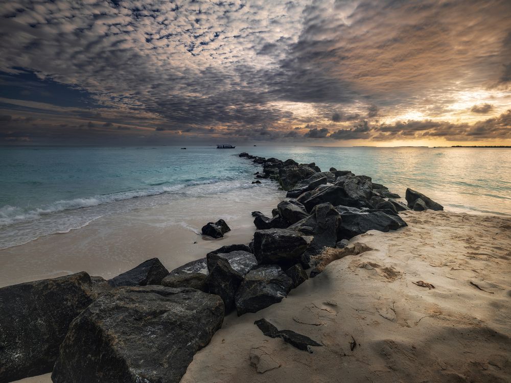 Photograph by Mikhail Kozlov