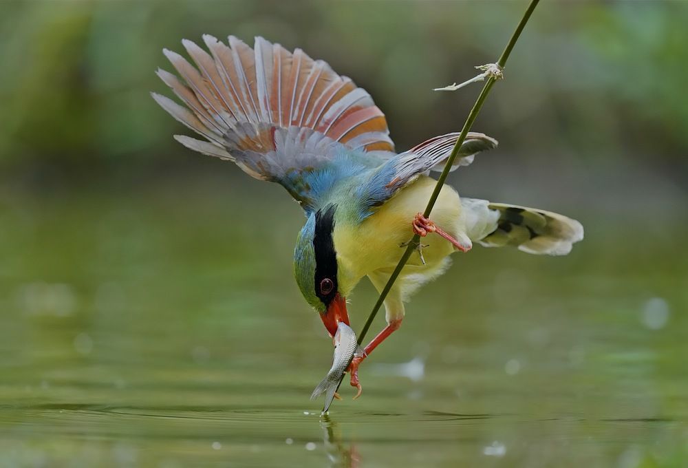 Photograph by Kan Chung Wong