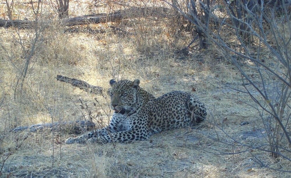 Photograph by Ирина Орлова