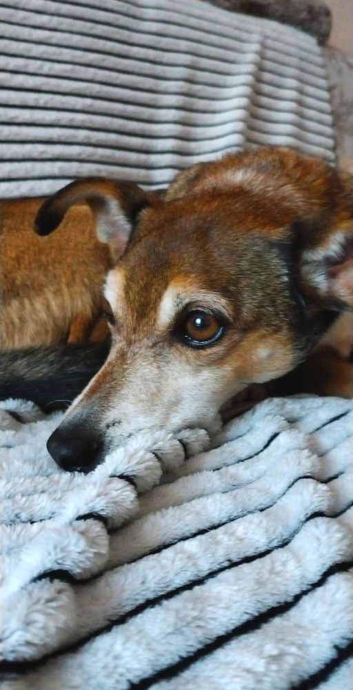 Photograph by Елена Егорова