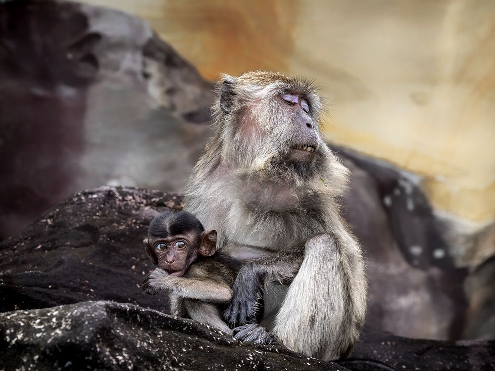 Photograph by Минаева Вера