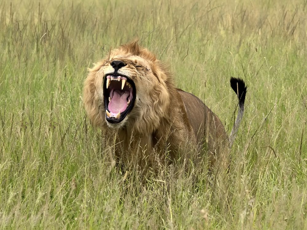 Photograph by Минаева Вера