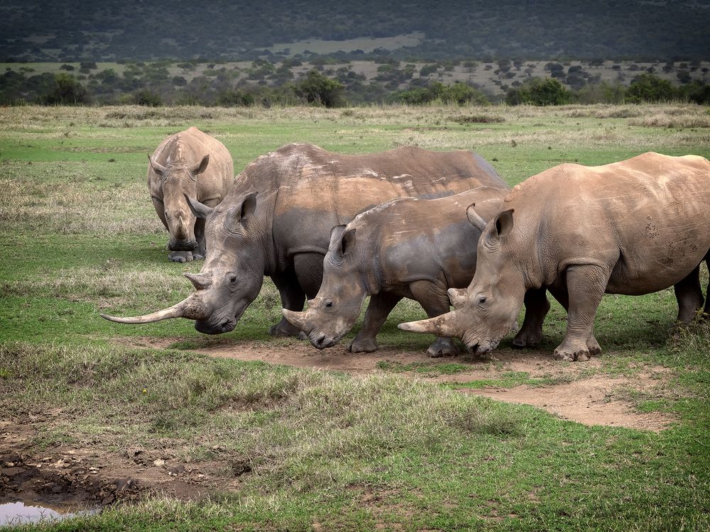 Photograph by Минаева Вера