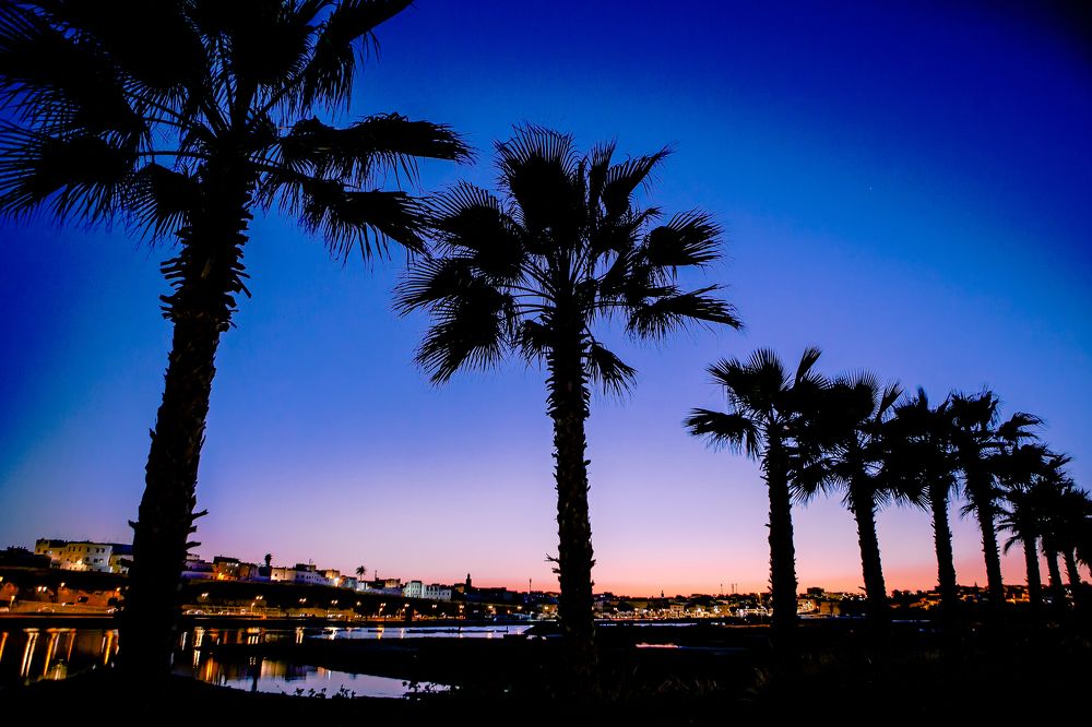 Photograph by Katja Sen