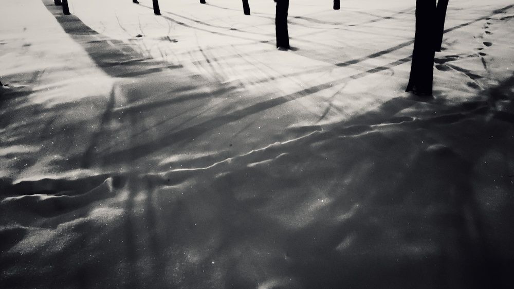 Photograph by Наталья Калюнова