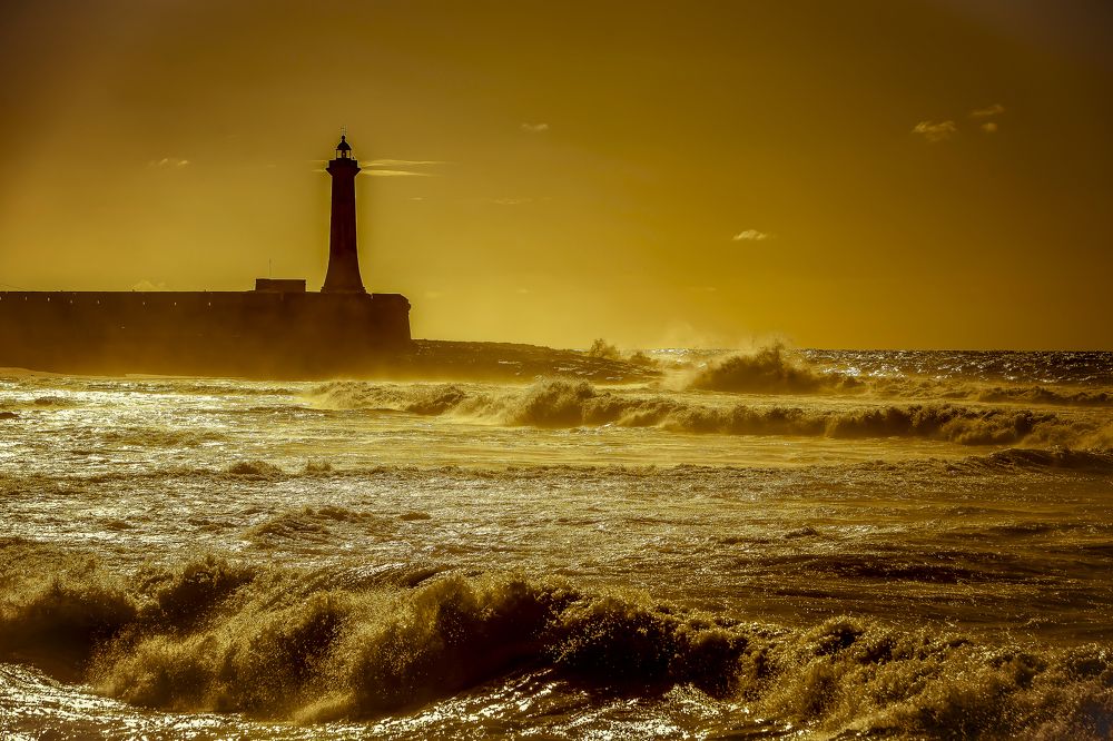 Photograph by Katja Sen