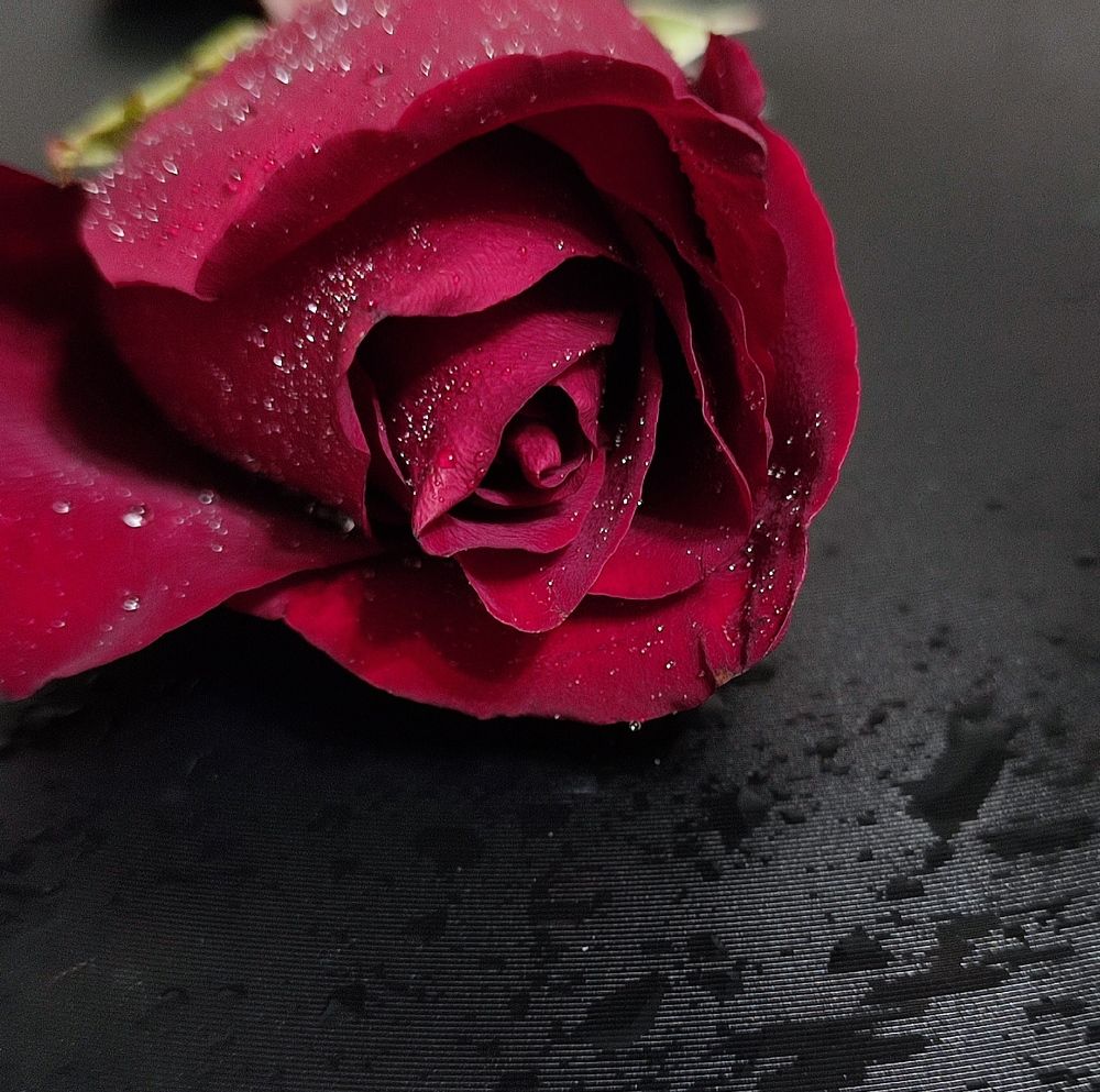 Photograph by Луиза Баширова