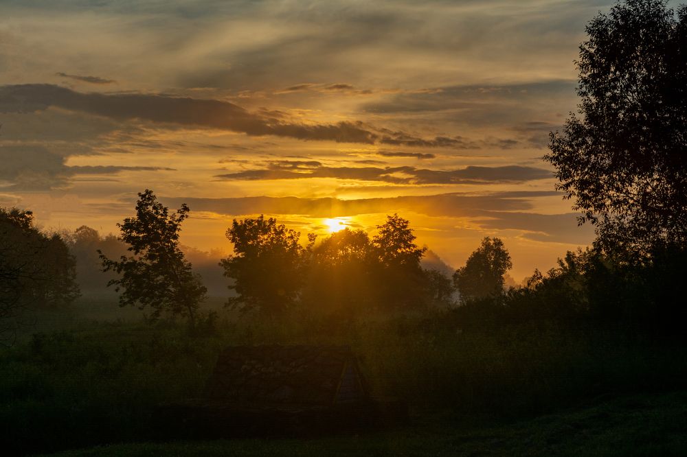 Photograph by Александр Тагаев