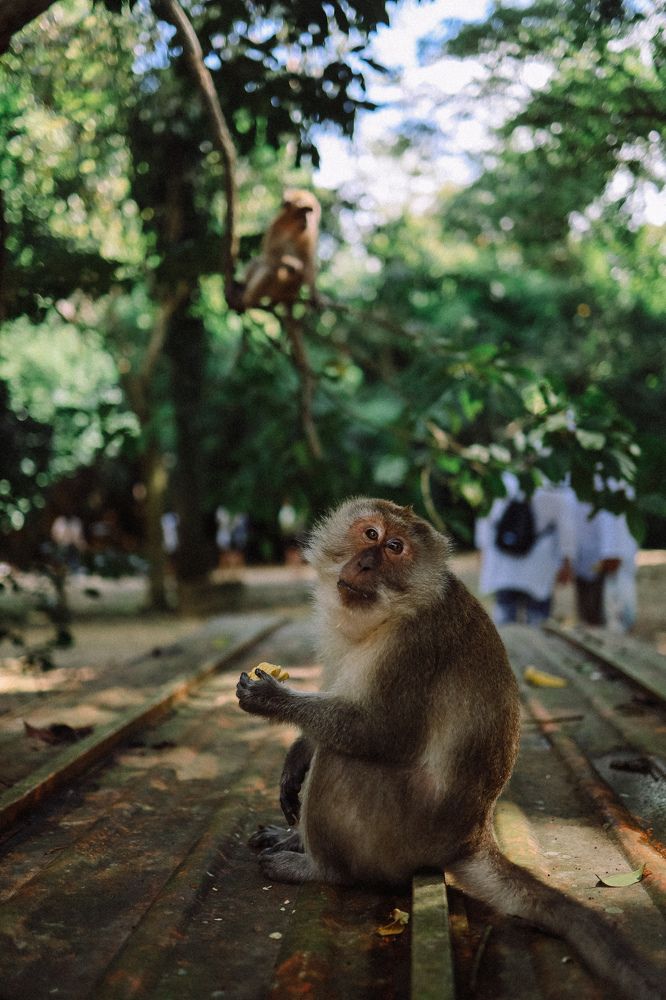Обеденное время
