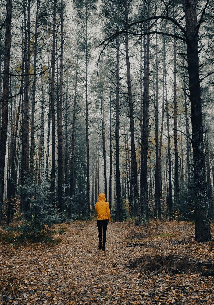 Фотография автора Геннадий Ломеко