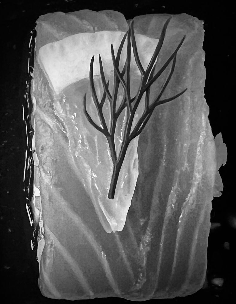 Лосось в соевом соусе