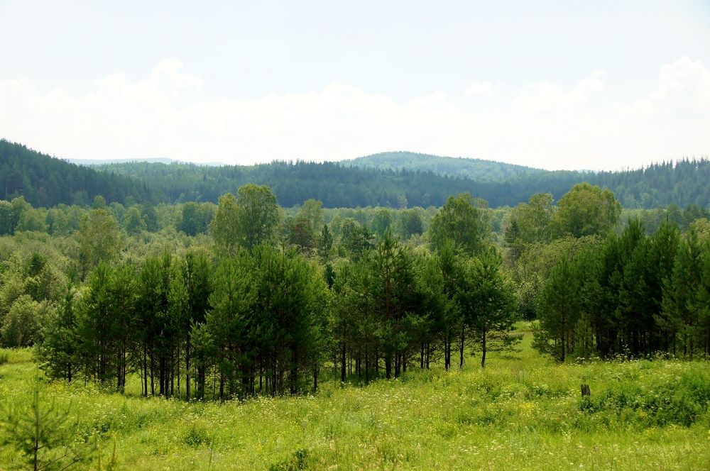 Photograph by Светлана Стрельцова