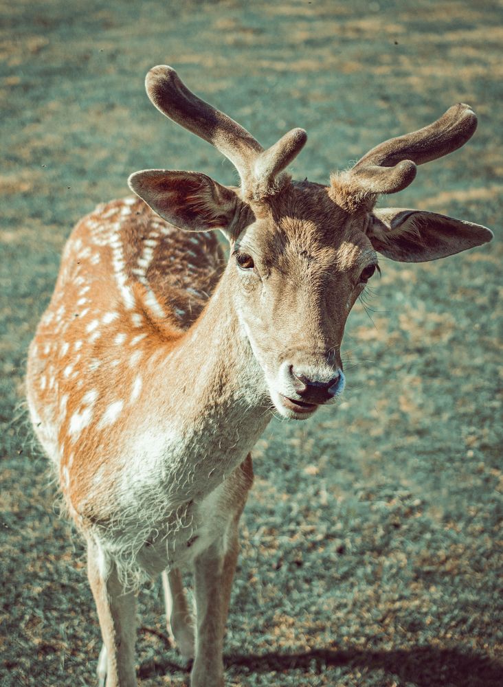 Photograph by Ольга Левакова