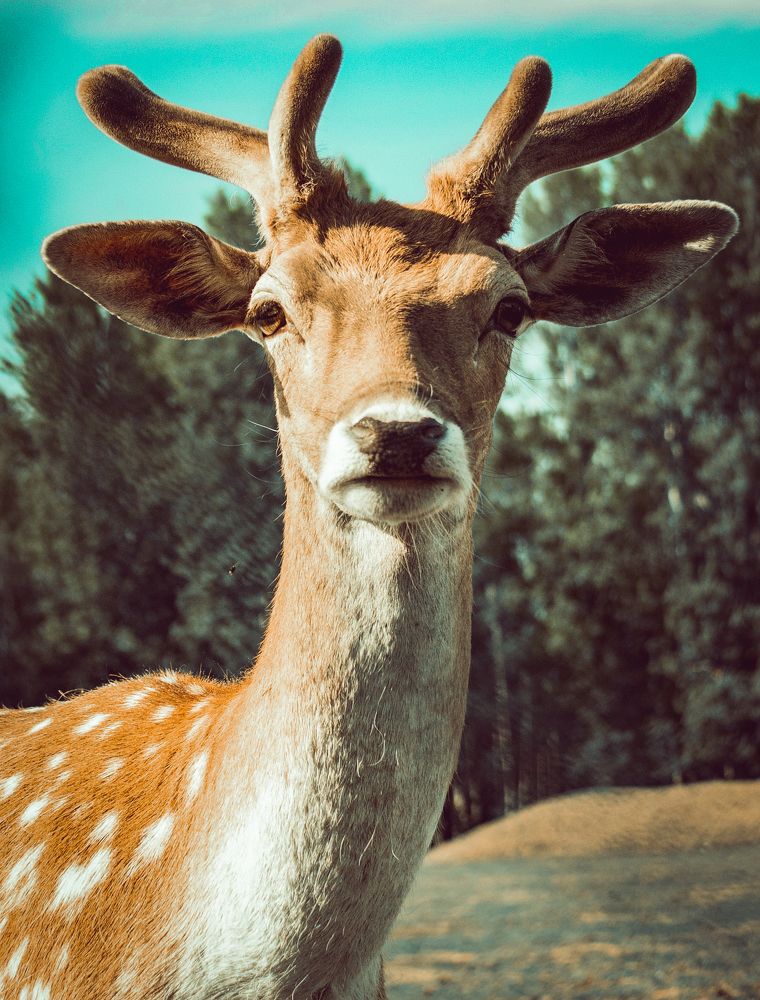 Photograph by Ольга Левакова