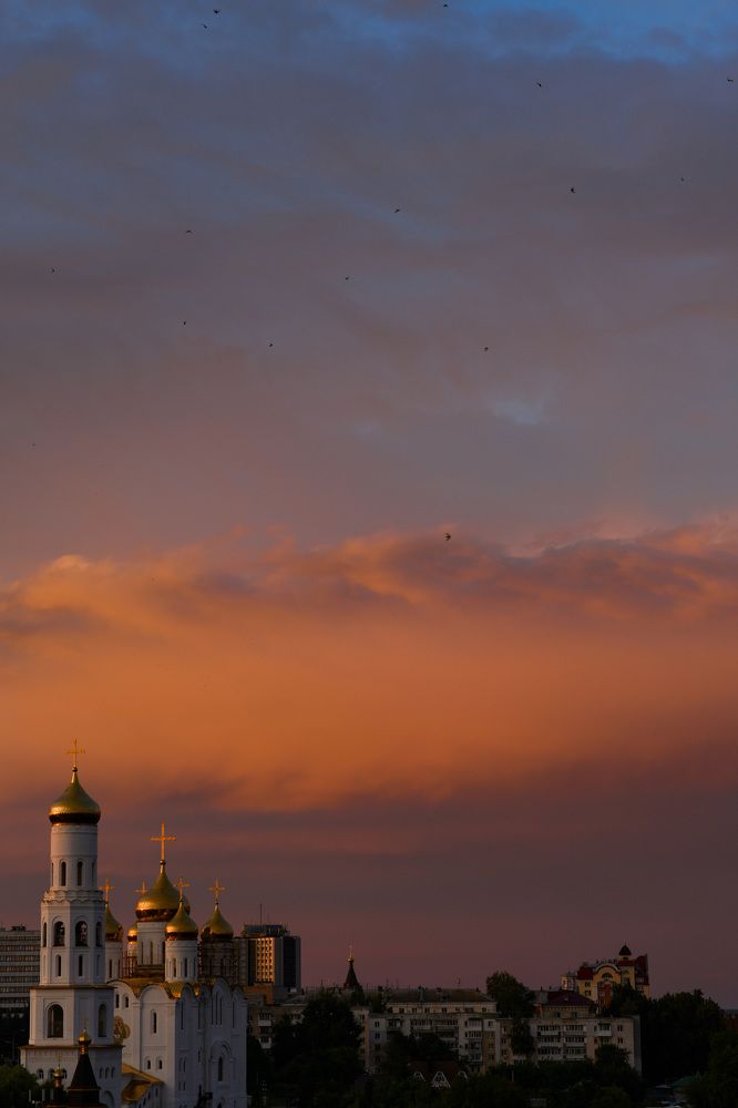 Фотография автора Алена Ковалёва