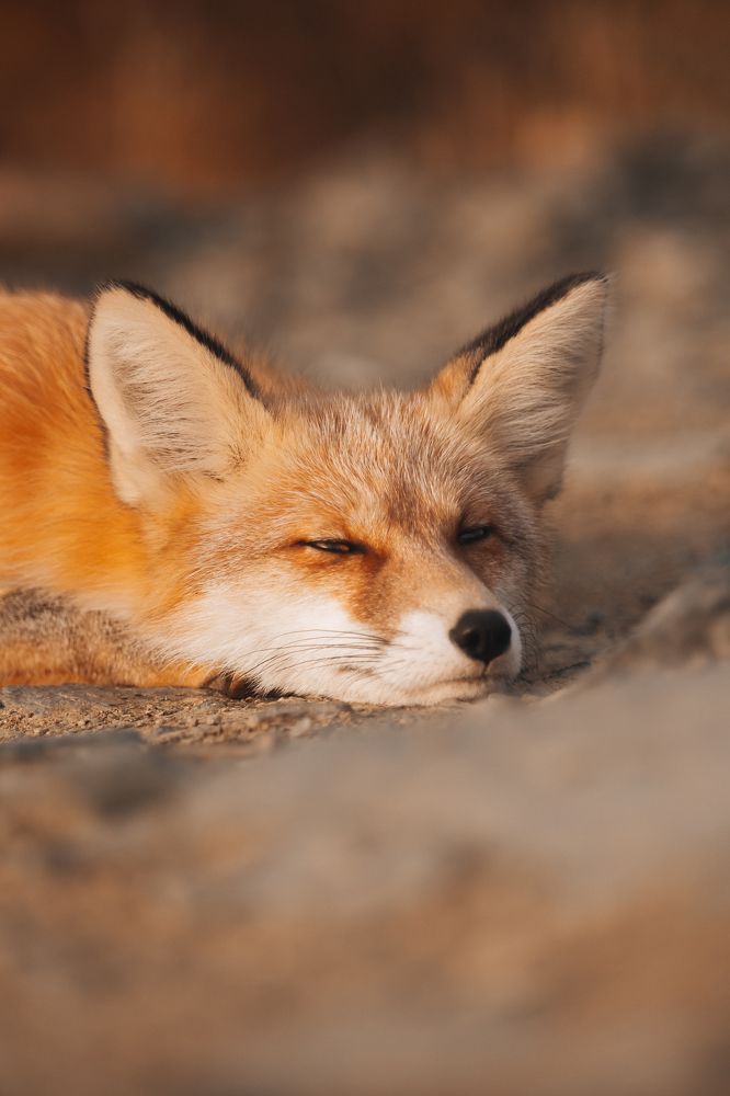 Photograph by Ольга Янкавцева