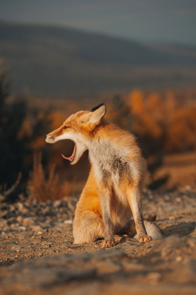 Photograph by Ольга Янкавцева